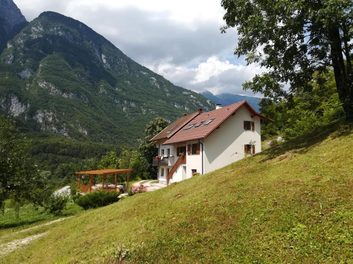 Apartma Elizabeth Apartment Srpenica Bagian luar foto